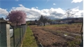 Image du bien UBI438195755